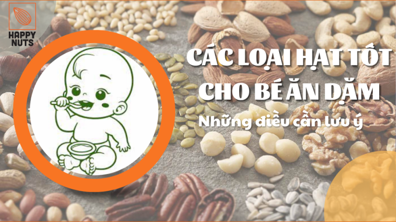 Các loại hạt tốt cho bé ăn dặm và những điều cần lưu ý