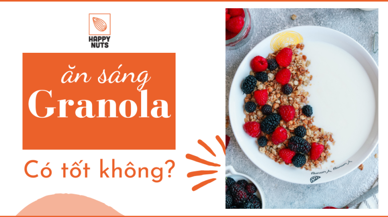 Ăn sáng bằng các loại hạt có tốt không? Chỉ ăn hạt được không?