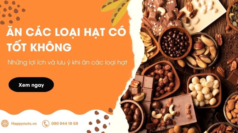 Ăn các loại hạt có tốt không? Những lợi ích và lưu ý khi dùng
