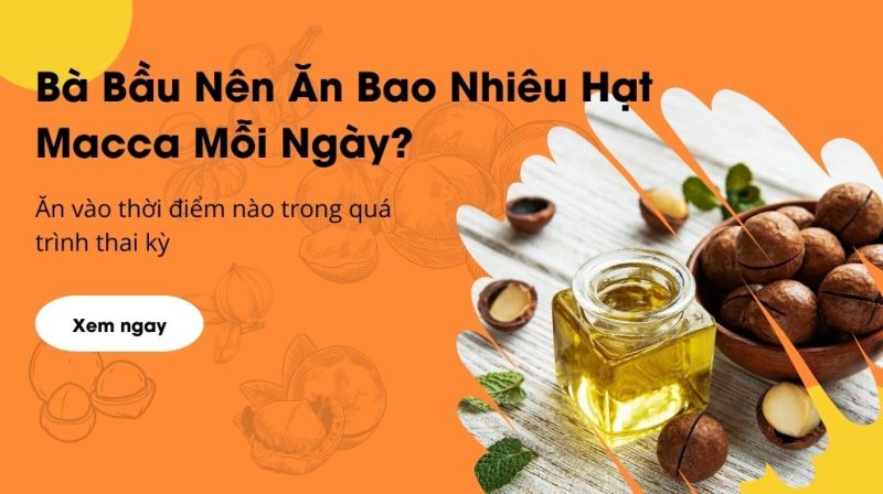 Bà Bầu nên ăn bao nhiêu Hạt Macca mỗi ngày (Chi tiết nhất)