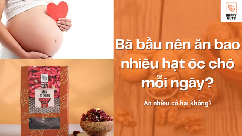 Bà bầu nên ăn bao nhiêu hạt óc chó mỗi ngày (Tháng 07/2024)