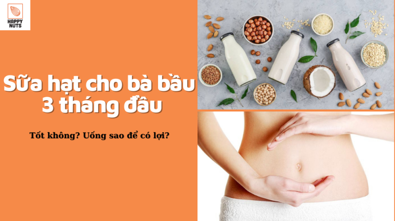 Sữa hạt cho bà bầu 3 tháng đầu (Chi tiết nhất tháng 07/2024)