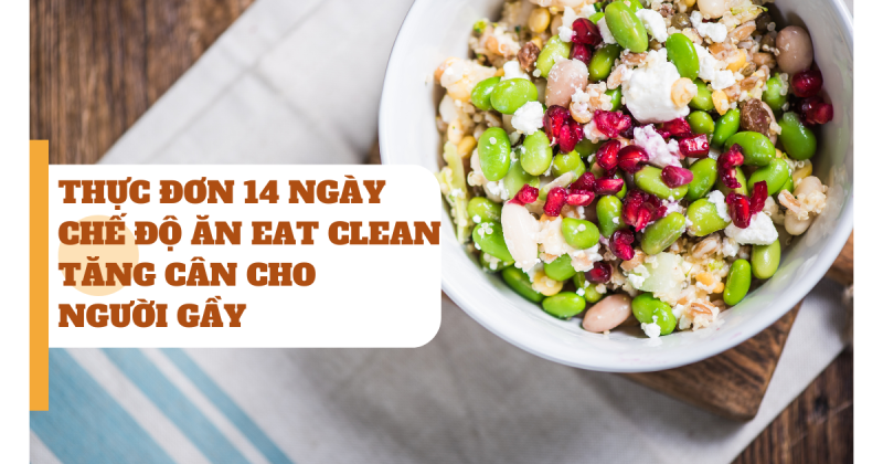 Thực đơn 14 ngày chế độ ăn Eat Clean tăng cân cho người gầy