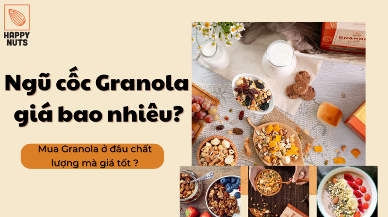 Ngũ cốc granola giá bao nhiêu? Mua Granola ở đâu chất lượng mà giá tốt?