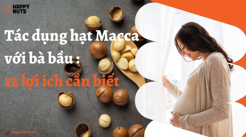 Tác dụng hạt Macca với bà bầu: 12 lợi ích phải nắm rõ