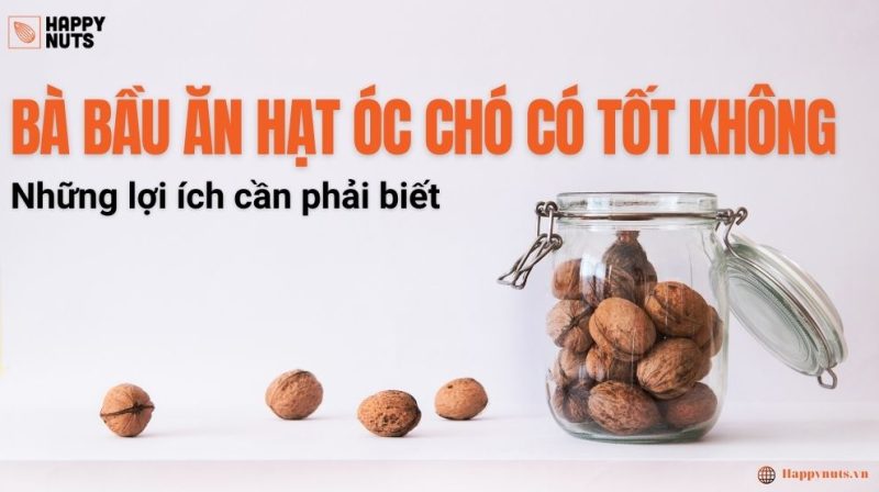 Bà bầu ăn hạt óc chó có tốt không? Những lợi ích cần phải biết