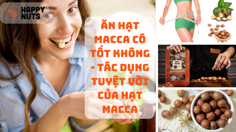 Ăn Hạt Macca Có Tốt Không (Tác Dụng Tuyệt Vời Của Hạt Macca)