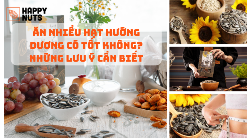 Ăn Nhiều Hạt Hướng Dương Có Tốt Không? (Lưu Ý Cần Biết)