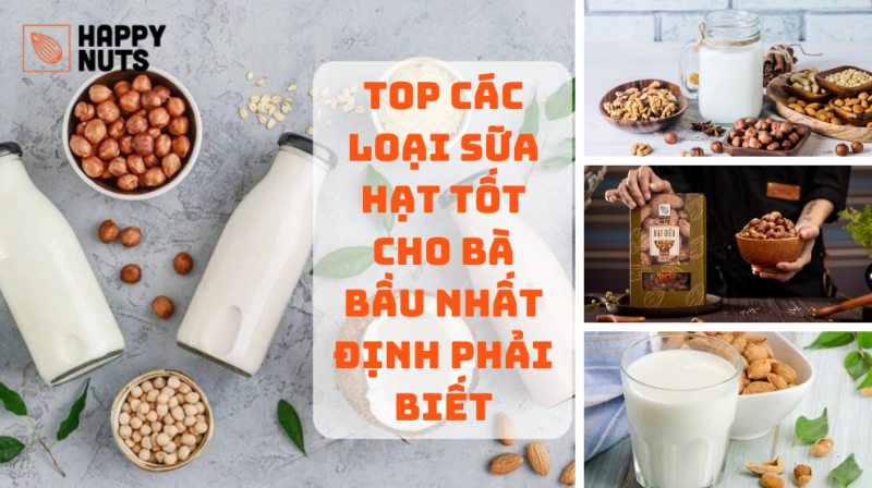 Top Các Loại Sữa Hạt Tốt Cho Bà Bầu (Nhất Định Phải Biết)