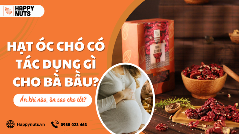 Hạt óc chó có tác dụng gì cho bà bầu? Ăn khi nào, ăn sao tốt?