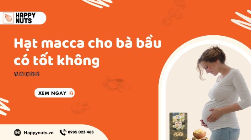 Hạt Macca cho bà bầu có tốt không và có lợi ích gì
