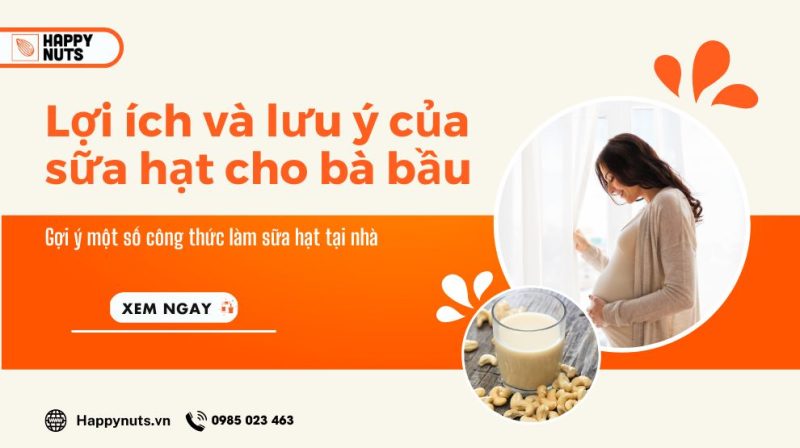 Lợi ích và lưu ý của sữa hạt cho bà bầu và công thức làm sữa hạt