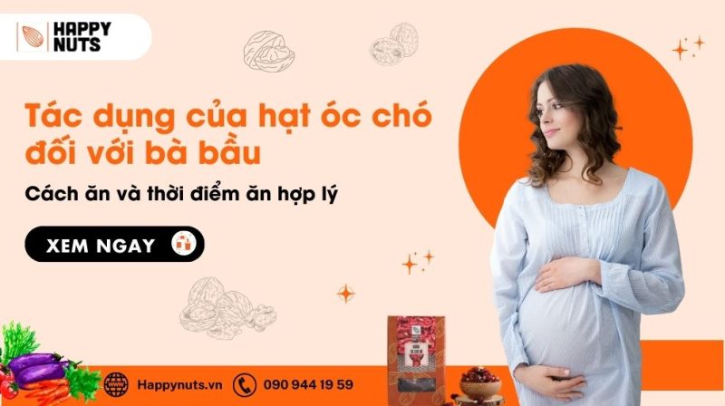 Tác dụng của hạt óc chó đối với bà bầu (Kiến thức toàn diện)