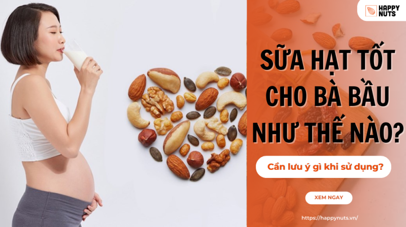 Sữa hạt tốt cho bà bầu như thế nào? Cần lưu ý gì khi sử dụng?