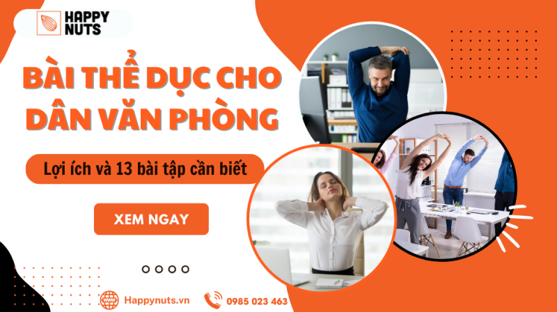 Bài thể dục cho dân Văn phòng: Lợi ích và 13 bài tập hiệu quả